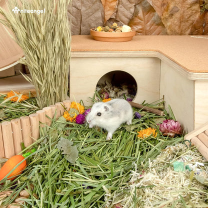 Natural & Soft Hamster Bedding Mate Small Animal Habitat Decor for Syrian Dwarf Hamsters Gerbils Mice Degus Bunny or Other Small-Sized Pet (Flowers Scent Path)