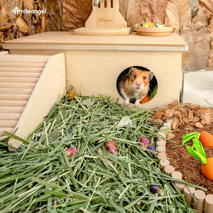 Natural & Soft Hamster Bedding Mate Small Animal Habitat Decor for Syrian Dwarf Hamsters Gerbils Mice Degus Bunny or Other Small-Sized Pet (Flowers Scent Path)