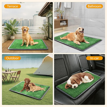 Dog Grass Pad with Tray, 35 x 23 in, 2 Replacement Turf Pads
