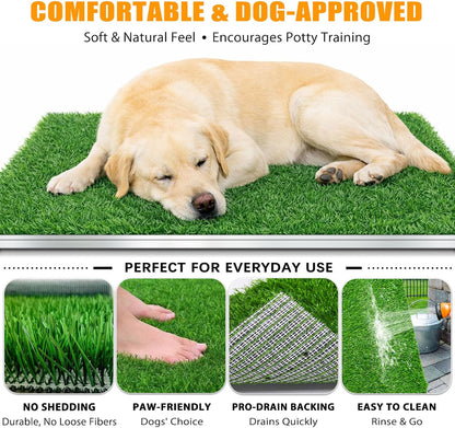 DDog Grass Pee Pad with Stainless Steel Tray, Odor-Free Drainage System, Reusable Artificial Grass Dog Potty for Indoor Apartment Balcony Puppy Training