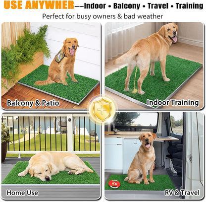 DDog Grass Pee Pad with Stainless Steel Tray, Odor-Free Drainage System, Reusable Artificial Grass Dog Potty for Indoor Apartment Balcony Puppy Training
