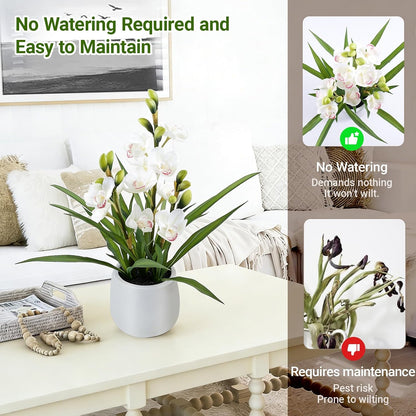 Faux Orchid Plant 19" Tall, Realistic Touch Leaves, Potted Cymbidium Artificial Plants Indoor for Home Decor Small Office Home Living Room-White