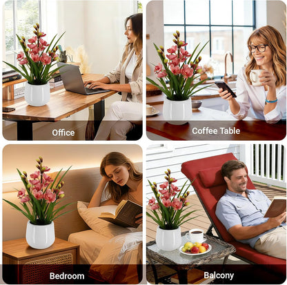 Faux Orchid Plant 19" Tall, Realistic Touch Leaves, Potted Cymbidium Artificial Plants Indoor for Home Decor Small Office Home Living Room-White