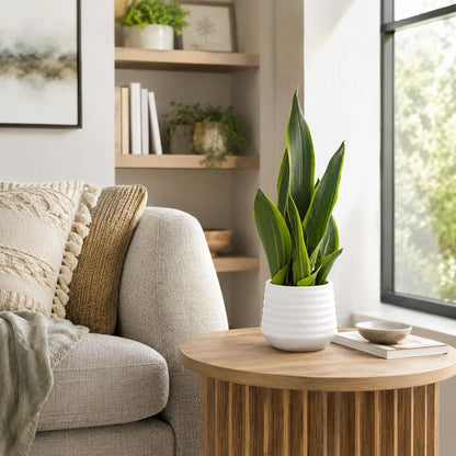 Artificial Snake Plant Potted, 15" Faux Plant, Suitable for Home Office Living Room Window Sill Indoor Decor Housewarming Gifts