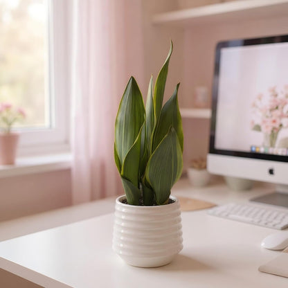 Artificial Snake Plant Potted, 15" Faux Plant, Suitable for Home Office Living Room Window Sill Indoor Decor Housewarming Gifts