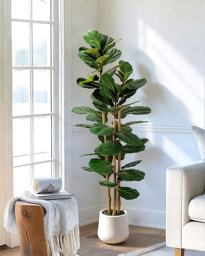 Artificial Fiddle Leaf Fig Tree in Modern White Planter, 5ft | Large Fake Tree with 3 Sturdy Trunks, Fake Plants with Moss, Lifelike Tall Artificial Plants Indoor for Office Home Decor