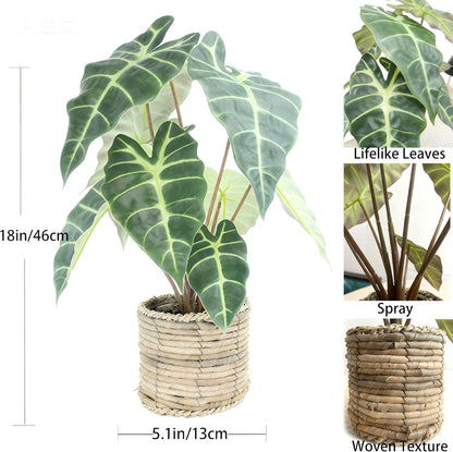 Artificial Alocasia Plant, 17-Inch Tropical Green Leaves in Natural Woven Basket (Green)