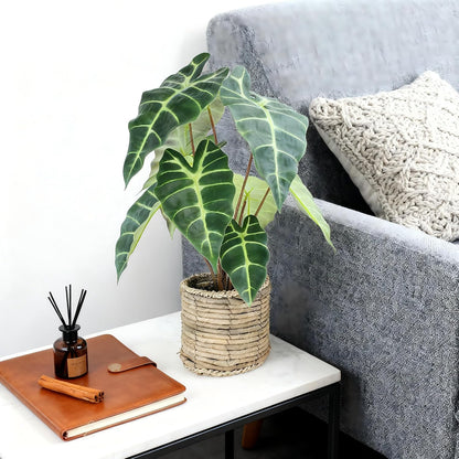 Artificial Alocasia Plant, 17-Inch Tropical Green Leaves in Natural Woven Basket (Green)