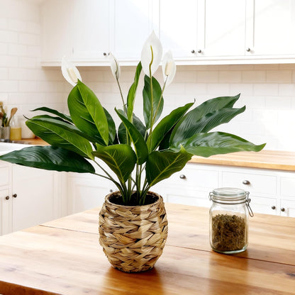 Artificial Alocasia Plant, 17-Inch Tropical Green Leaves in Natural Woven Basket (Green)