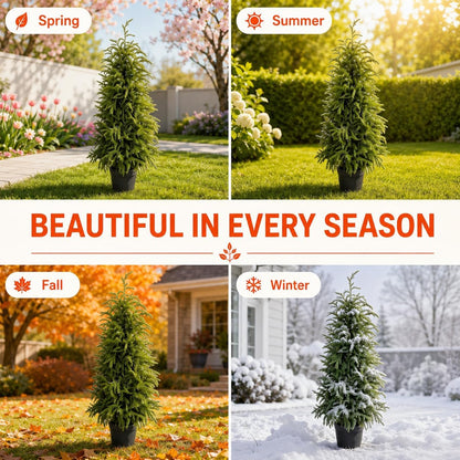 4FT Lighted Artificial Norfolk Pine Tree Outdoor with Lights｜Artificial Topiary Outdoor Tree｜Realistic PE Artificial Outdoor Plants｜Artificial Norfolk Faux Plants Potted UV Resistant