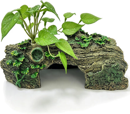 Aquarium Decor, Betta Fish Tank Accessories, Reptile Hide