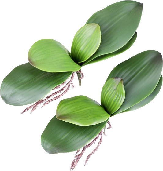 Orchid Leaves Artificial Phalaenopsis Stems Leaf Real Touch 8" 2pcs