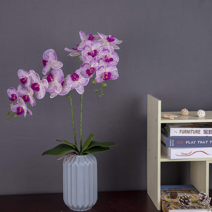 Orchid Leaves Artificial Phalaenopsis Stems Leaf Real Touch 8" 2pcs
