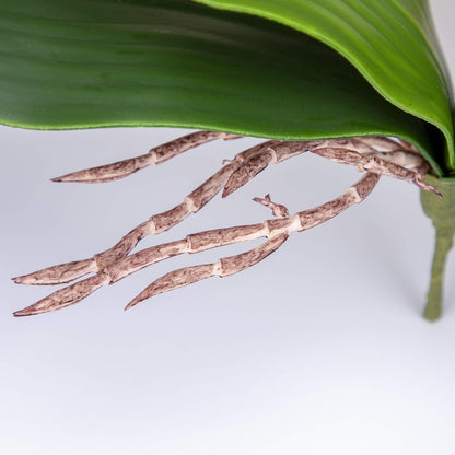 Orchid Leaves Artificial Phalaenopsis Stems Leaf Real Touch 8" 2pcs