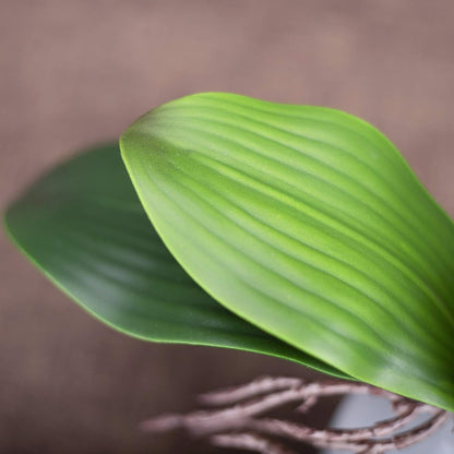 Orchid Leaves Artificial Phalaenopsis Stems Leaf Real Touch 8" 2pcs