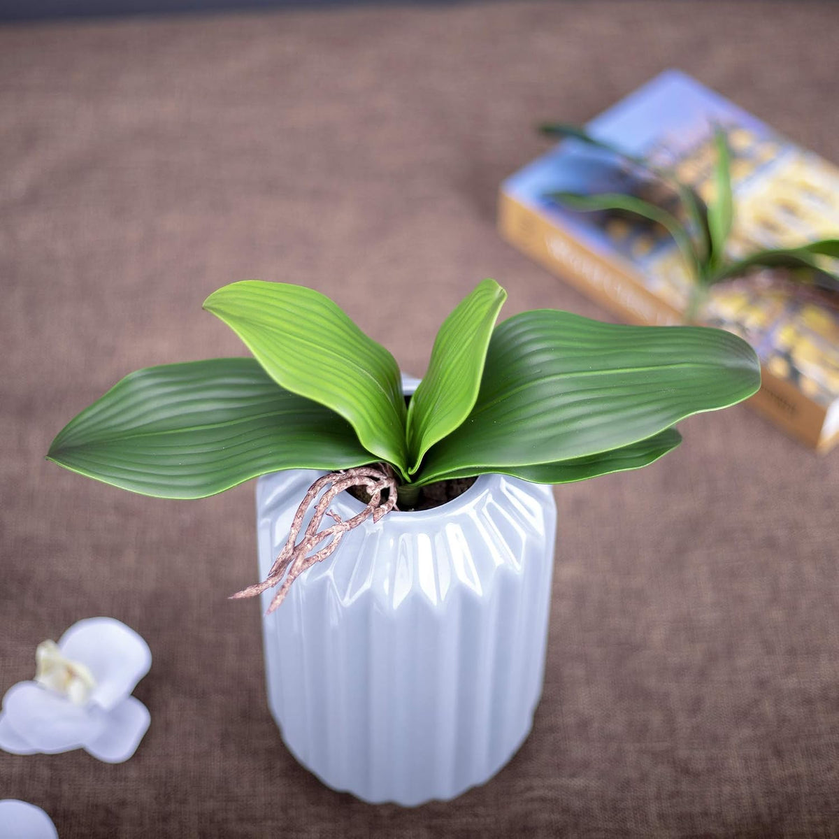 Orchid Leaves Artificial Phalaenopsis Stems Leaf Real Touch 8" 2pcs