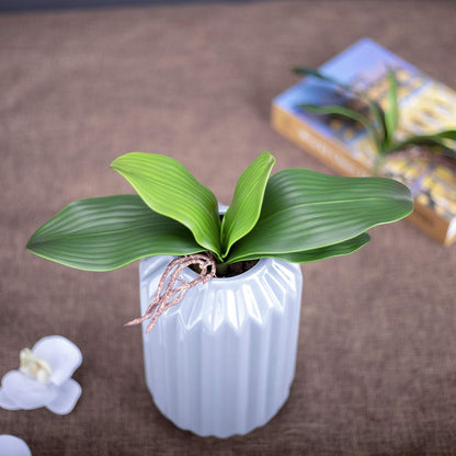 Orchid Leaves Artificial Phalaenopsis Stems Leaf Real Touch 8" 2pcs