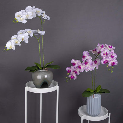 Orchid Leaves Artificial Phalaenopsis Stems Leaf Real Touch 8" 2pcs