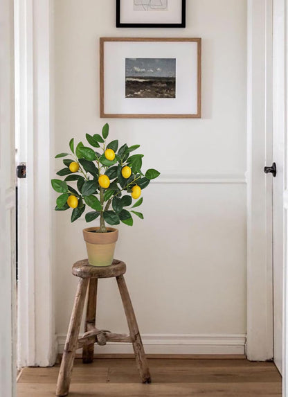 Artificial Potted Plants Small Fake Lemon Tree Artificial Lemon Tree in Pot