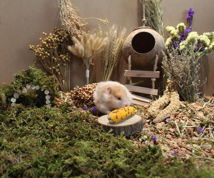 Natural Hamster Bedding Flowers Herbs Sprays Treat for Cage Habitat Enclosure Decor for Dwarf Syrian Gerbils Mice Mouse Rat Pet Accessories Supplies