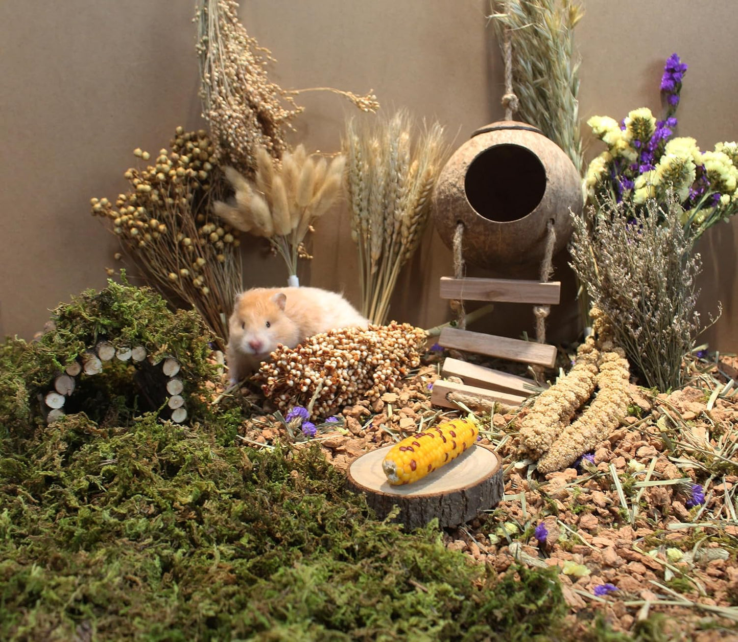 Natural Hamster Bedding Flowers Herbs Sprays Treat for Cage Habitat Enclosure Decor for Dwarf Syrian Gerbils Mice Mouse Rat Pet Accessories Supplies