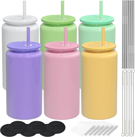 6 Pack 16 oz Sublimatable Tumbler, Insulated Tumbler with Straw