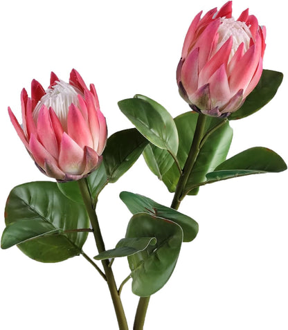 2pcs Artificial King Protea Flowers 25" Fake Tropical Pink Protea Cynaroides for Vase Bouquets Floral Arrangement Home Office Wedding Decoration.(Pink)
