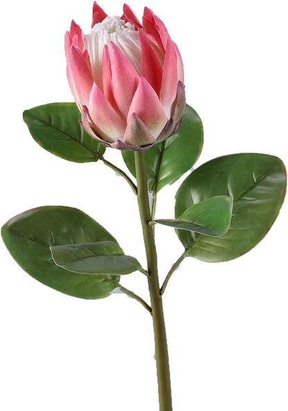 2pcs Artificial King Protea Flowers 25" Fake Tropical Pink Protea Cynaroides for Vase Bouquets Floral Arrangement Home Office Wedding Decoration.(Pink)