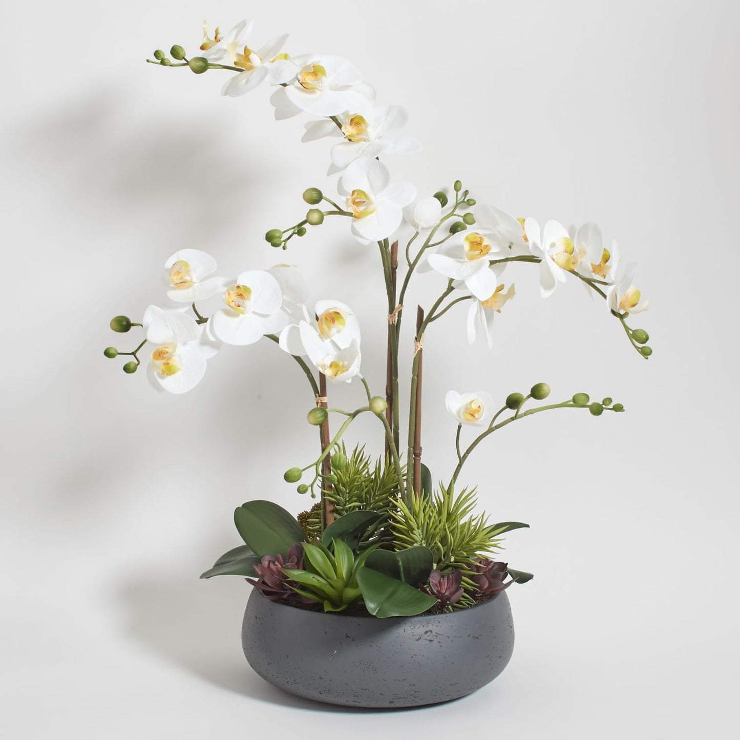Faux Orchid Plant w/Succulents, Premium Artificial Indoor Flower Display Stands 24” w/Beautiful Sculptural Blooms and Succulents that Lasts Forever, Grey Planter Pot Included