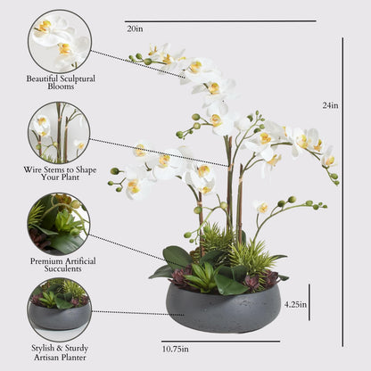 Faux Orchid Plant w/Succulents, Premium Artificial Indoor Flower Display Stands 24” w/Beautiful Sculptural Blooms and Succulents that Lasts Forever, Grey Planter Pot Included