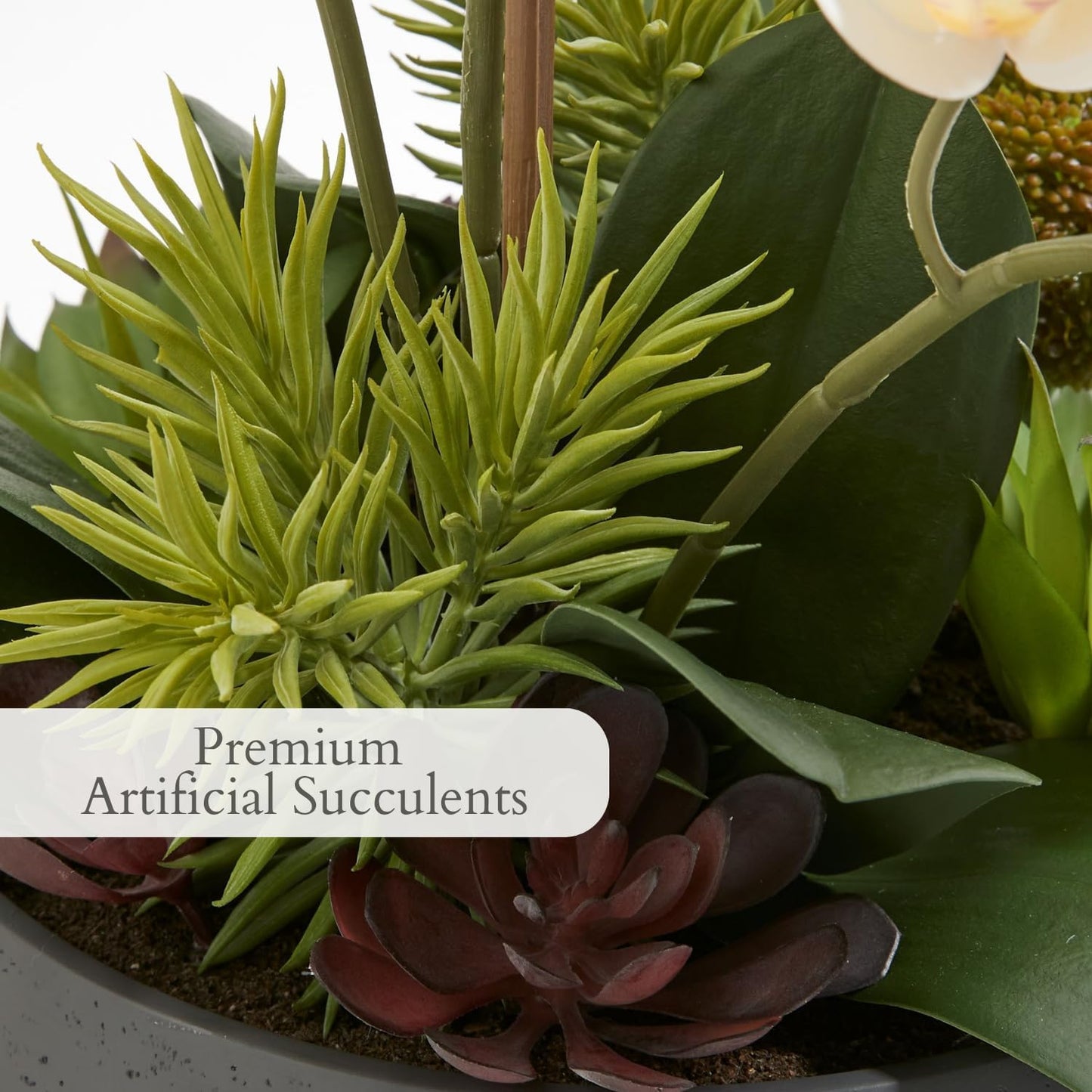 Faux Orchid Plant w/Succulents, Premium Artificial Indoor Flower Display Stands 24” w/Beautiful Sculptural Blooms and Succulents that Lasts Forever, Grey Planter Pot Included