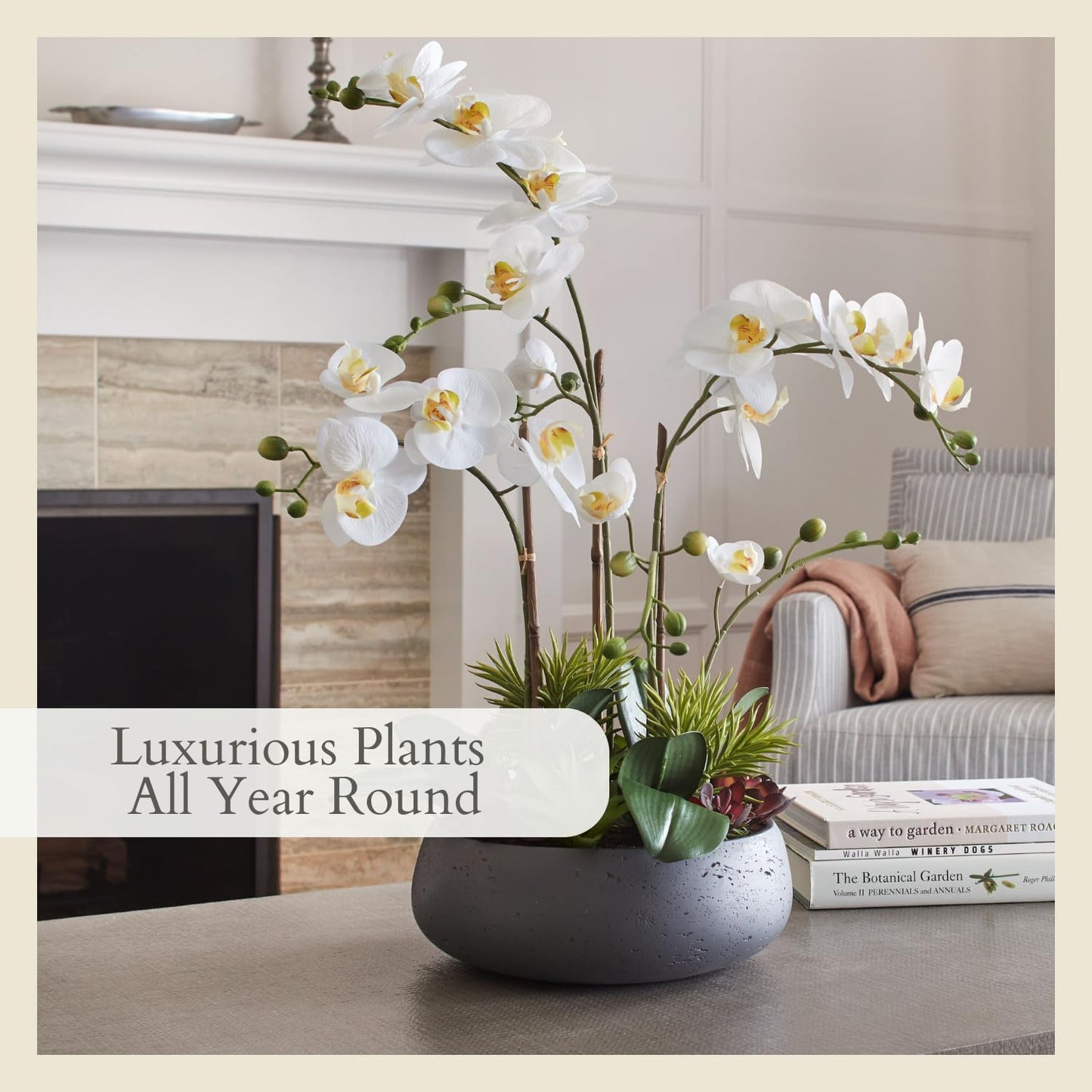 Faux Orchid Plant w/Succulents, Premium Artificial Indoor Flower Display Stands 24” w/Beautiful Sculptural Blooms and Succulents that Lasts Forever, Grey Planter Pot Included