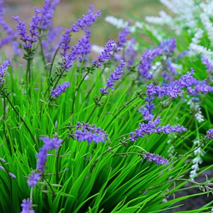 12 Bundles Artificial Grass Fake Plants，Outdoor Fake Monkey Tail Grass with Flowers for Pot UV Resistant Lavender Patio Garden Porch Home Window Hanging Planter Decor Faux Plastic Shrubs(Puper+Green)