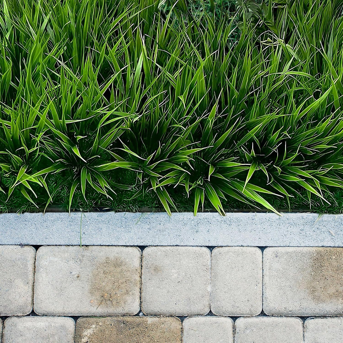 12 Bundles Artificial Grass Fake Plants，Outdoor Fake Monkey Tail Grass with Flowers for Pot UV Resistant Lavender Patio Garden Porch Home Window Hanging Planter Decor Faux Plastic Shrubs(Puper+Green)