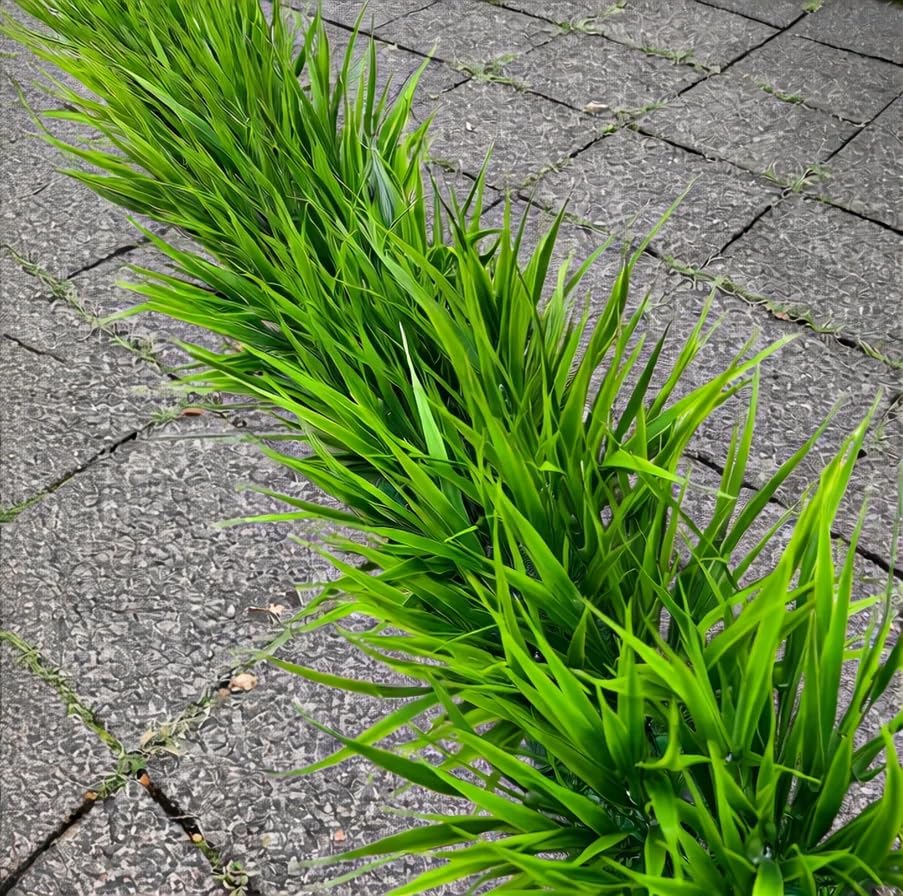 12 Bundles Artificial Grass Fake Plants，Outdoor Fake Monkey Tail Grass with Flowers for Pot UV Resistant Lavender Patio Garden Porch Home Window Hanging Planter Decor Faux Plastic Shrubs(Puper+Green)