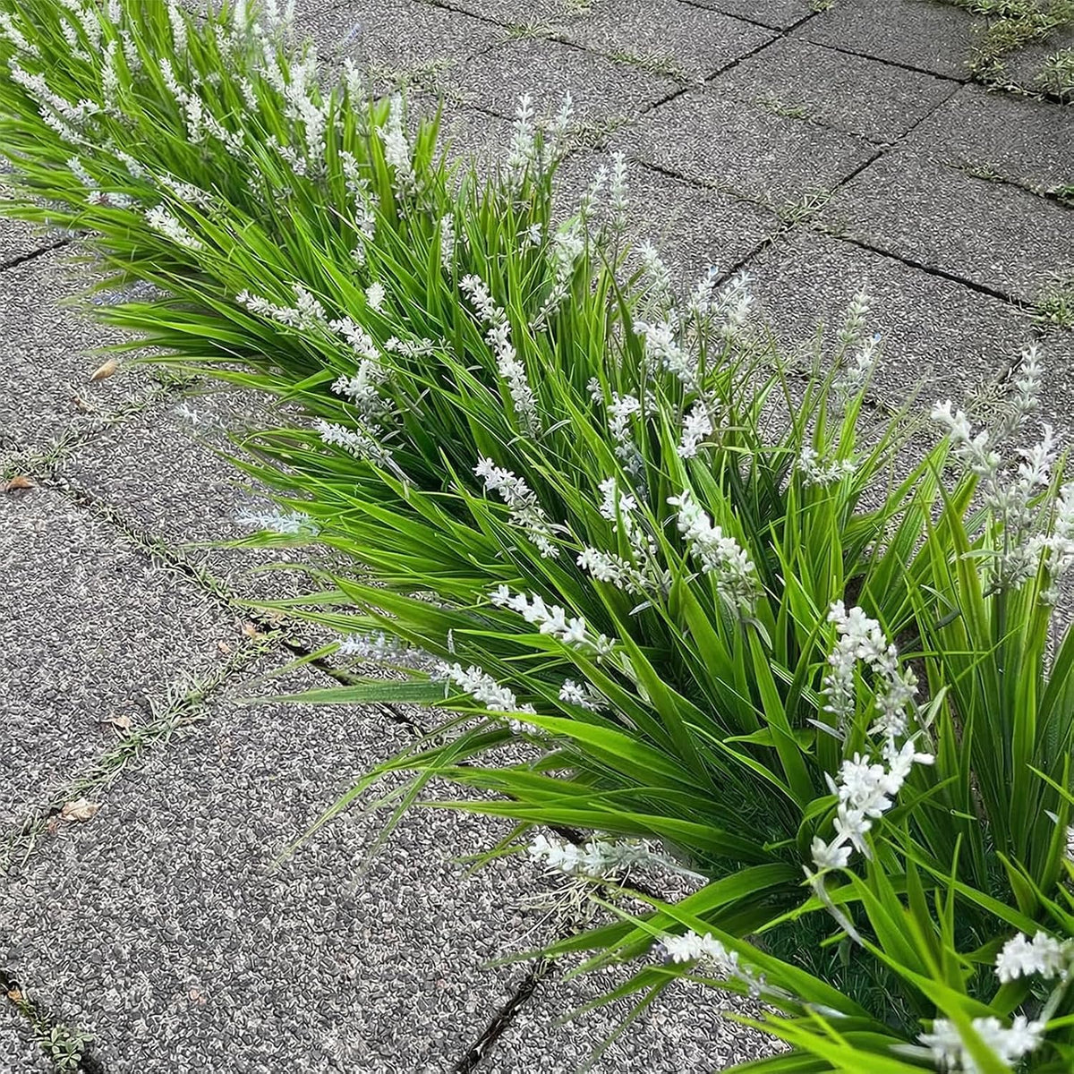 12 Bundles Artificial Grass Fake Plants，Outdoor Fake Monkey Tail Grass with Flowers for Pot UV Resistant Lavender Patio Garden Porch Home Window Hanging Planter Decor Faux Plastic Shrubs(Puper+Green)