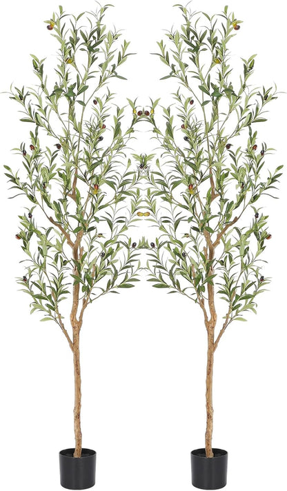 Faux Olive Tree 6ft，Olive Trees Artificial Indoor with Natural Wood Trunk and Realistic Leaves and Fruits. 6 Feet(72in) Fake Olive Tree for Home House Office Décor.