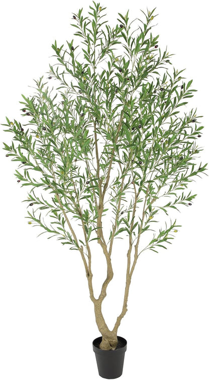 Faux Olive Tree 6ft，Olive Trees Artificial Indoor with Natural Wood Trunk and Realistic Leaves and Fruits. 6 Feet(72in) Fake Olive Tree for Home House Office Décor.
