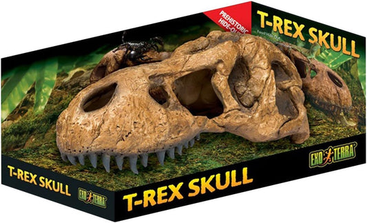 T-Rex Skull Terrarium Decor