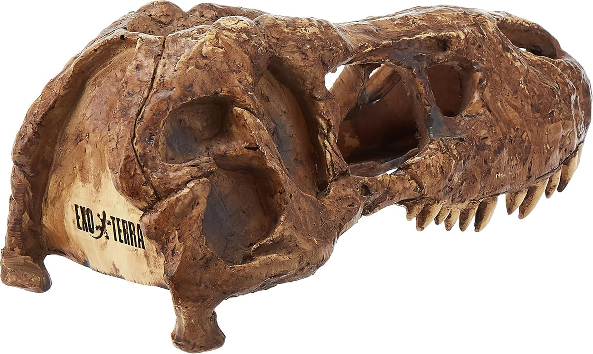 T-Rex Skull Terrarium Decor