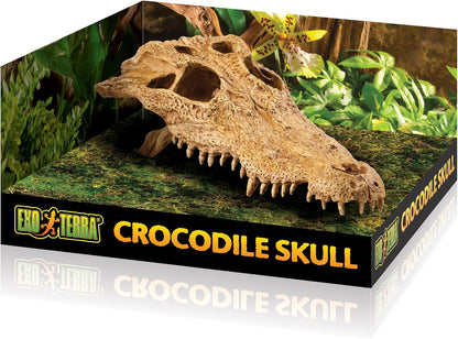 T-Rex Skull Terrarium Decor