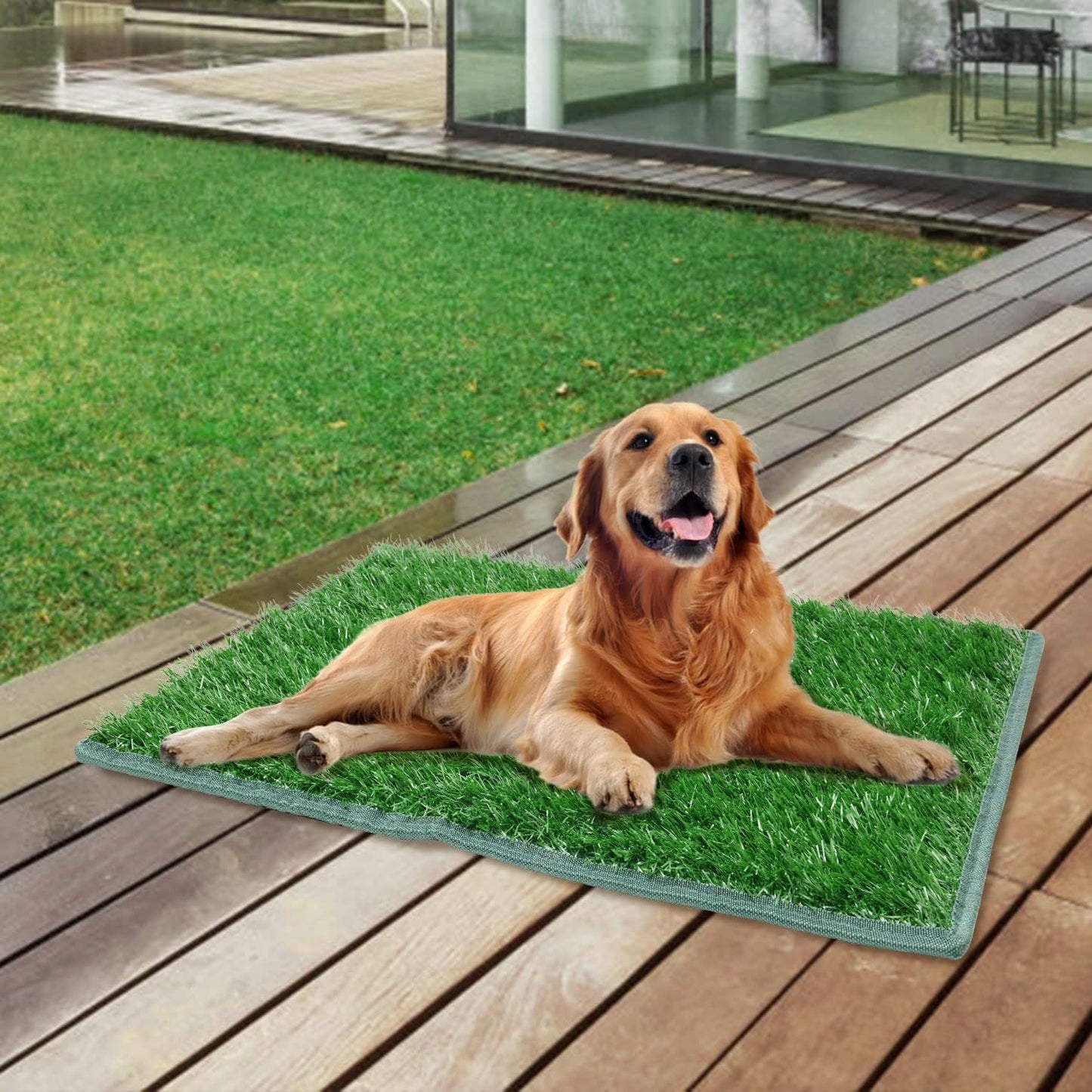 Artificial Dog Grass Pee Pad 20”x 25” 2 Pack, Grass Pad for Dogs Indoor Potty Training, Replacement Turf for Puppy, Washable Reusable Realistic Fake Grass Mat for Apartment, Balcony