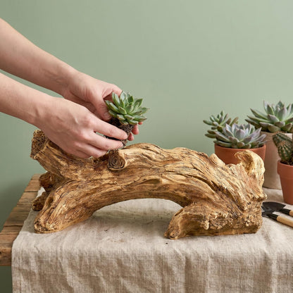 Artificial Driftwood Succulent Planter, Resin Tree Stump Sculpture Rustic Cactus Flower Pot for Herb, Strawberry, Small Plants, Natural Color Drainage Hole, 14.6" L x 4.3" W x 5.1" H