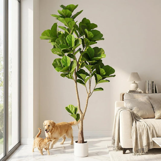 6ft Artificial Fiddle Leaf Fig Tree Tall Large Realistic Fake Ficus Lyrata Plant for Indoor Home Decor Office Living Room Floor Plant Modern Farmhouse Silk Tree 72 Inch Pet Safe Maintenance Free