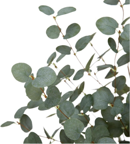 27" Eucalyptus Stems Greenery Stems Eucalyptus Leaf Spray in Green Silk Plastic Plants Floral Artificial Plants for Home Party Wedding Decoration