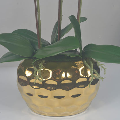 W&W Artificial Orchid Plants & Flowers Arrangement in Ceramic Pot, Fake Faux White Orchid with Gold Vase,Extral Large 26 inches
