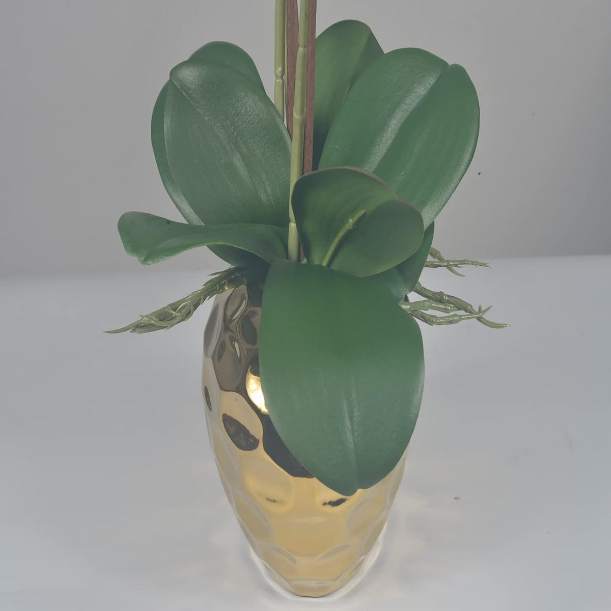 W&W Artificial Orchid Plants & Flowers Arrangement in Ceramic Pot, Fake Faux White Orchid with Gold Vase,Extral Large 26 inches