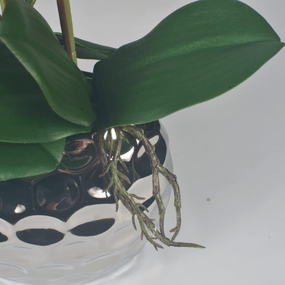 W&W Artificial Orchid Plants & Flowers Arrangement in Ceramic Pot, Fake Faux White Orchid with Gold Vase,Extral Large 26 inches