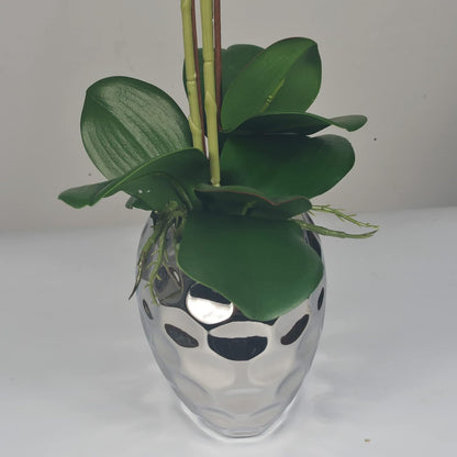 W&W Artificial Orchid Plants & Flowers Arrangement in Ceramic Pot, Fake Faux White Orchid with Gold Vase,Extral Large 26 inches