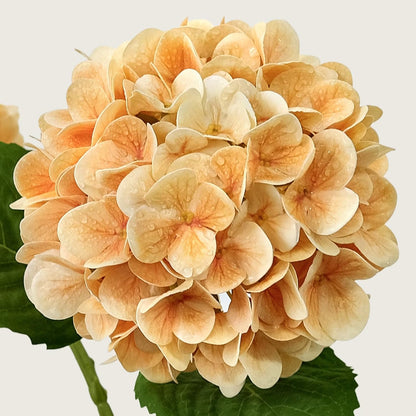 4PCS 19.6Inch Violet Blue Faux Hydrangea Artificial Flowers Silk Latex Realistic Full Large Hydrangeas Spring Long Stem Leaves Bouquet Plants for Tall Vase Table Garden Arrangements